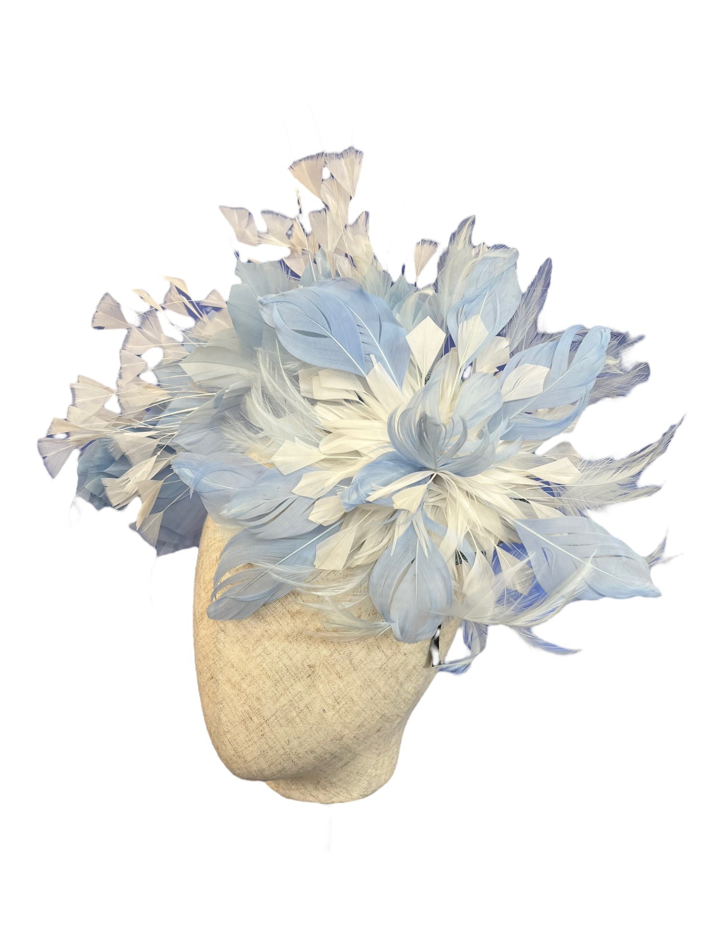 Baby Blue & White